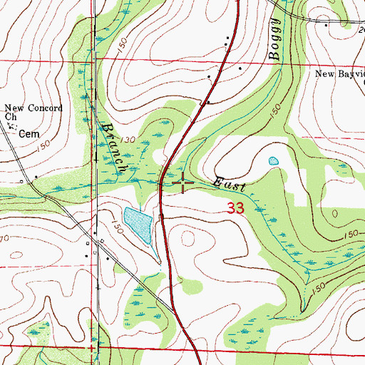 Topographic Map of Boggy Branch, FL