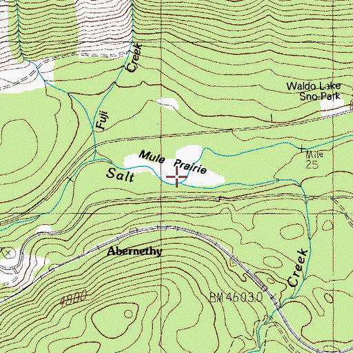 Topographic Map of Mule Prairie, OR