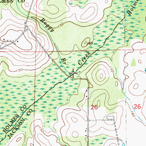 Topographic Map of Boggy Branch, FL