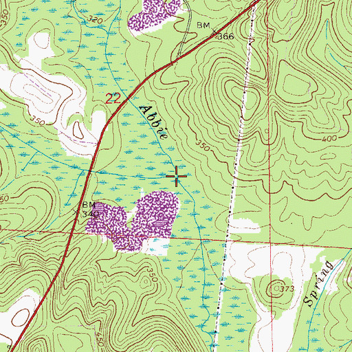 Topographic Map of Boggy Branch, AL