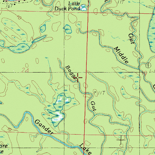 Topographic Map of Boggy Gut, AL