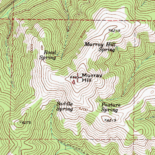 Topographic Map of Murray Hill, OR
