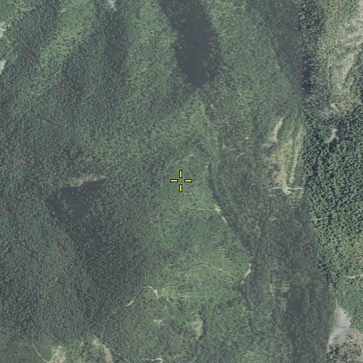 Aerial/Satellite Image of Murry Mine, OR