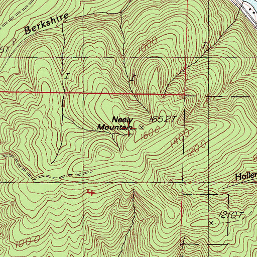 Topographic Map of Neely Mountain, OR
