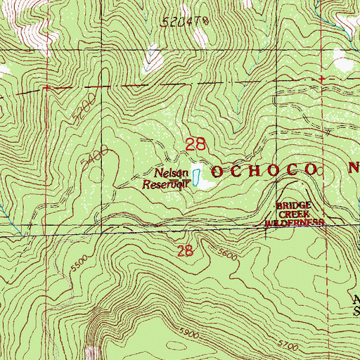 Topographic Map of Nelson Reservoir, OR