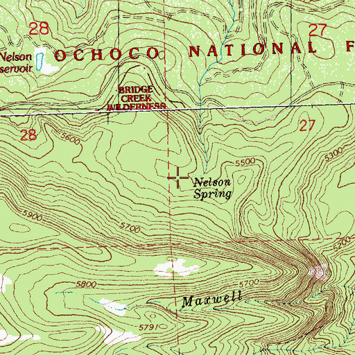 Topographic Map of Nelson Spring, OR