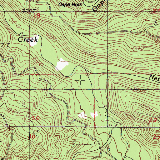 Topographic Map of Nettle Creek, OR