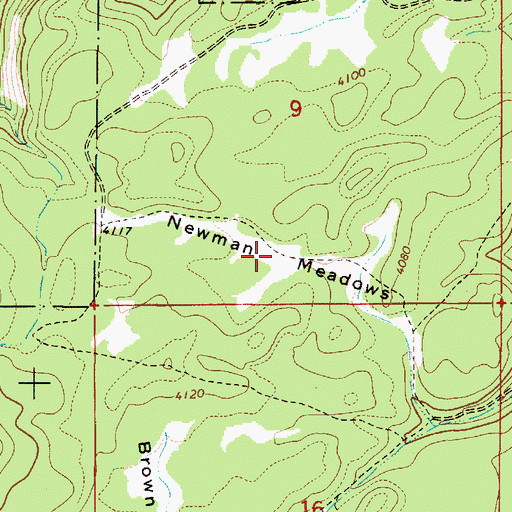Topographic Map of Newman Meadows, OR