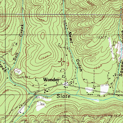 Topographic Map of Newt Gulch, OR