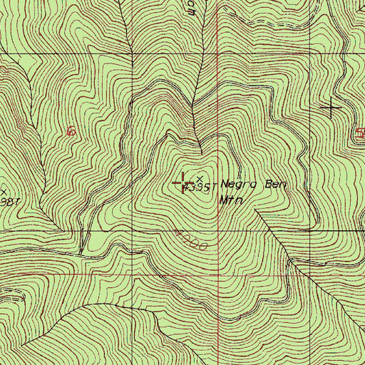 Topographic Map of Negro Ben Mountain, OR