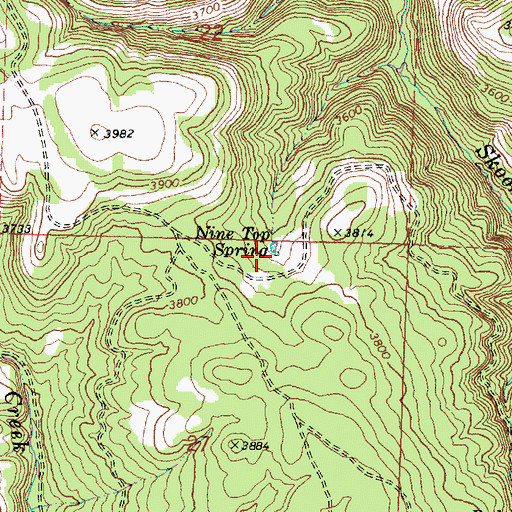 Topographic Map of Nine Top Spring, OR