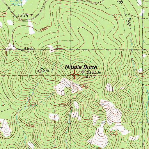 Topographic Map of Nipple Butte, OR