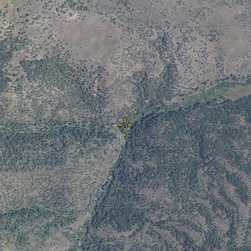 Aerial/Satellite Image of North Fork Bear Creek, OR