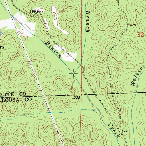 Topographic Map of Bolter Branch, AL