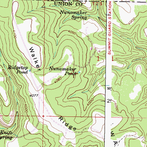 Topographic Map of Nunamaker Pond, OR