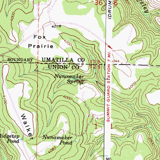 Topographic Map of Nunamaker Spring, OR