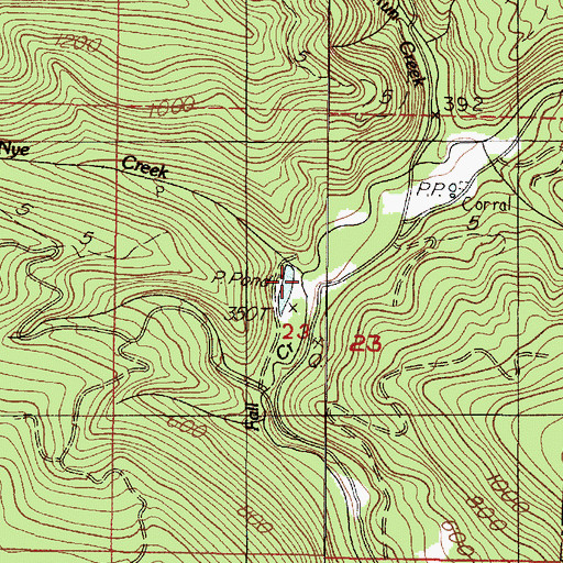 Topographic Map of Nye Creek, OR