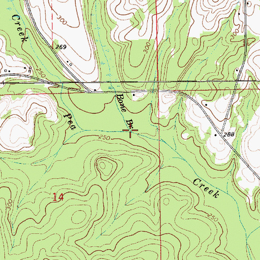 Topographic Map of Bone Branch, AL