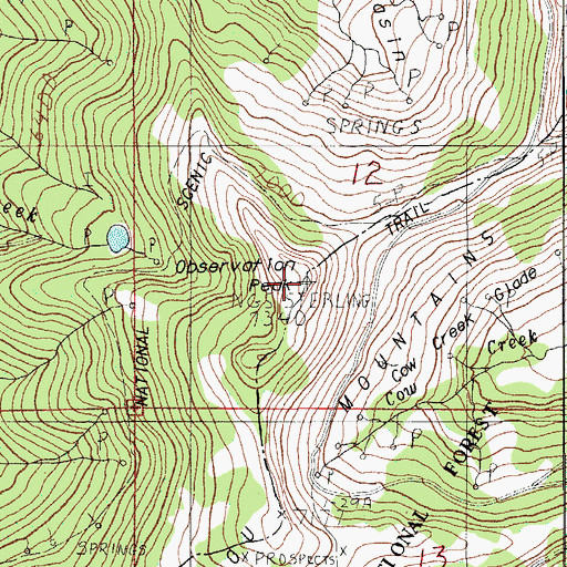 Topographic Map of Observation Peak, OR
