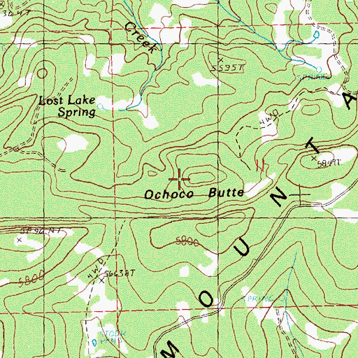 Topographic Map of Ochoco Butte, OR
