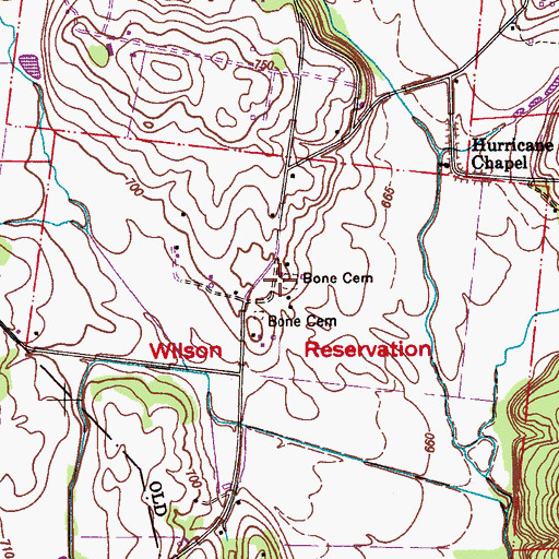 Topographic Map of Bone Cemetery, AL