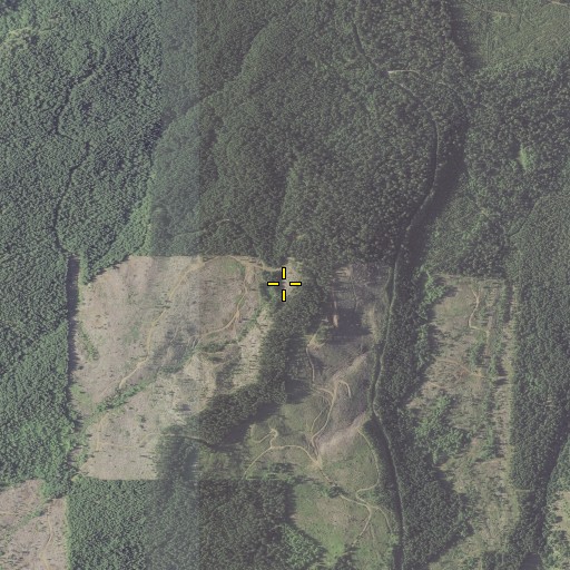 Aerial/Satellite Image of Old Johnson Mill (historical), OR