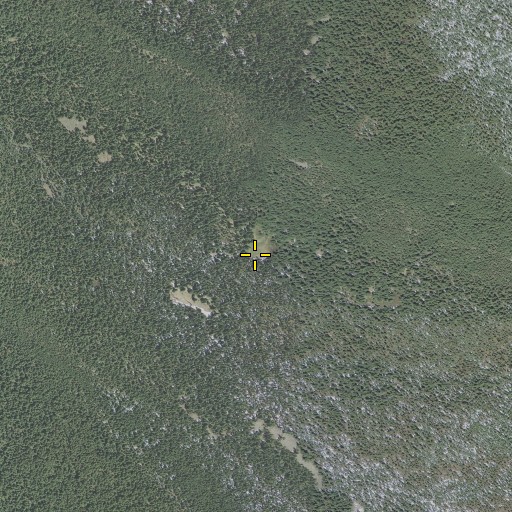 Aerial/Satellite Image of Onion Spring, OR