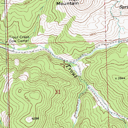 Topographic Map of Opal Creek, OR