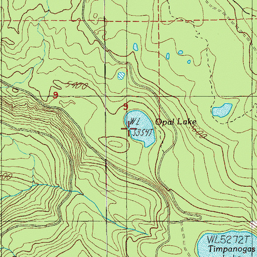 Topographic Map of Opal Lake, OR