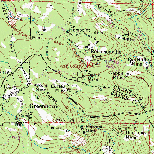 Topographic Map of Ophir Mine, OR