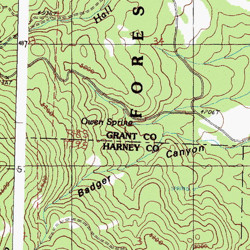 Topographic Map of Owen Spring, OR