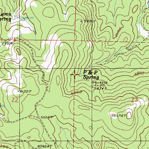 Topographic Map of P and P Spring, OR