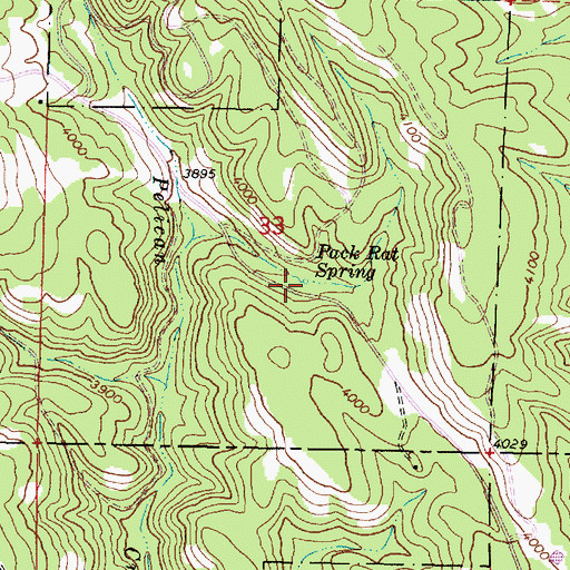 Topographic Map of Pack Rat Spring, OR
