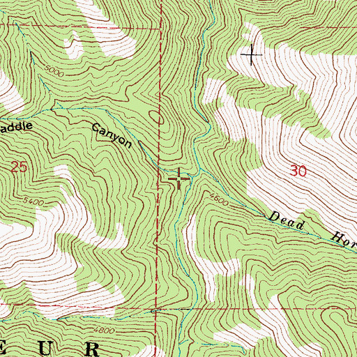 Topographic Map of Packsaddle Canyon, OR