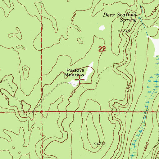 Topographic Map of Paddys Meadow, OR