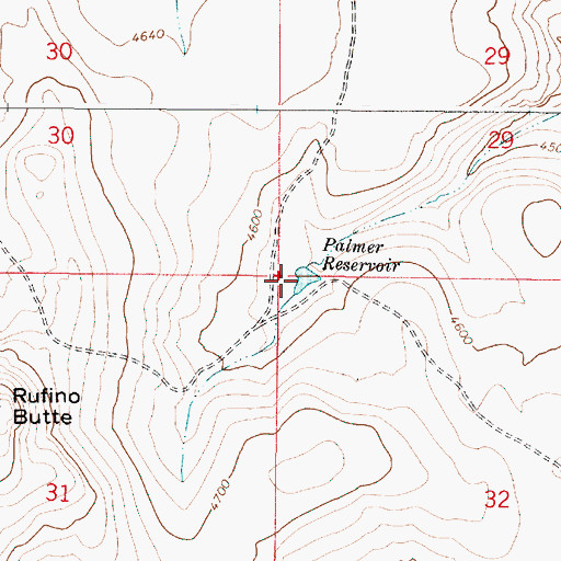 Topographic Map of Palmer Reservoir, OR