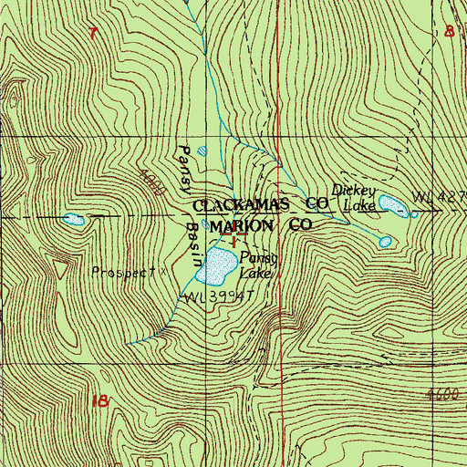 Topographic Map of Pansy Basin, OR