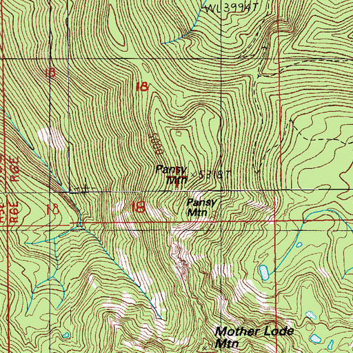 Topographic Map of Pansy Mountain, OR