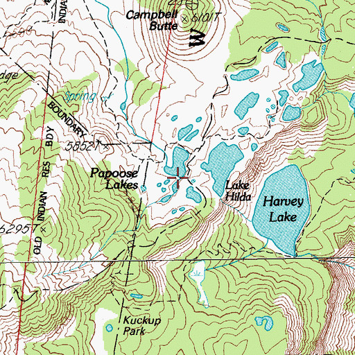 Topographic Map of Papoose Lakes, OR