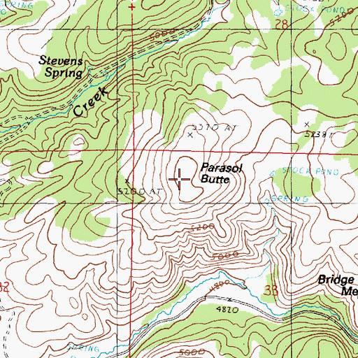 Topographic Map of Parasol Butte, OR