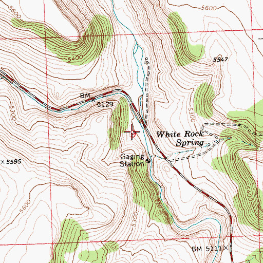 Topographic Map of Parsnip Creek, OR