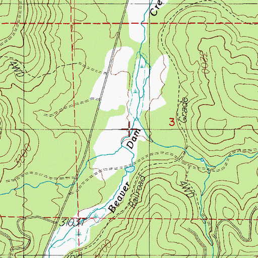 Topographic Map of Parsnip Creek, OR