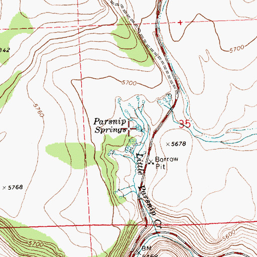 Topographic Map of Parsnip Springs, OR