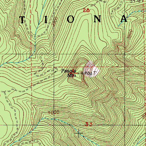 Topographic Map of Pasola Mountain, OR