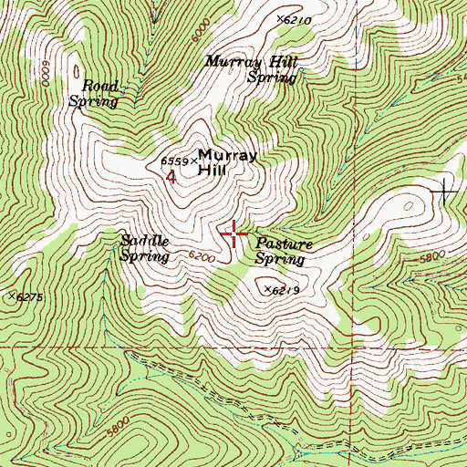 Topographic Map of Pasture Spring, OR