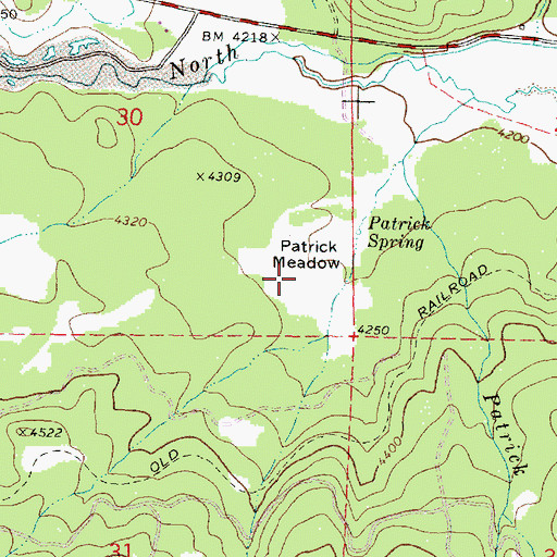 Topographic Map of Patrick Meadow, OR