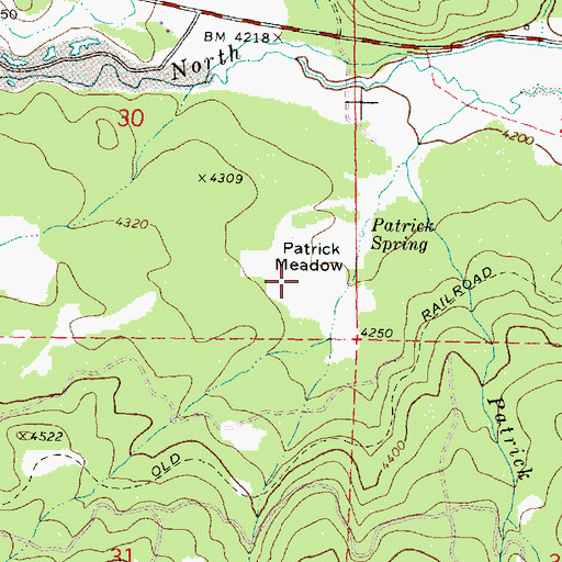 Topographic Map of Patrick Meadow, OR