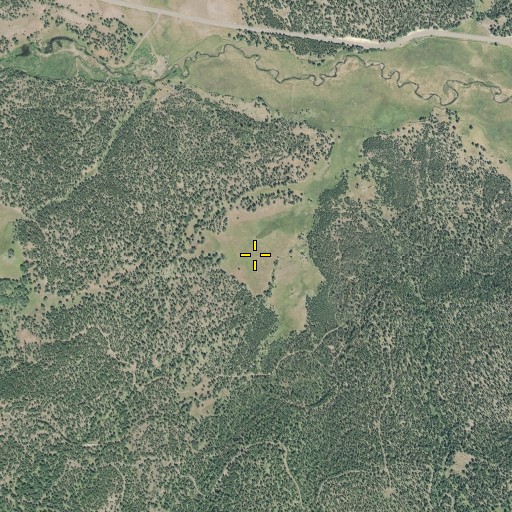 Aerial/Satellite Image of Patrick Meadow, OR