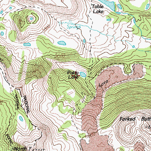 Topographic Map of Patsy Lake, OR