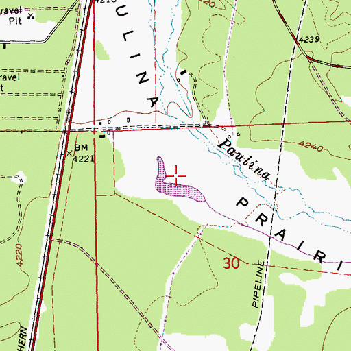 Topographic Map of Paulina Prairie, OR